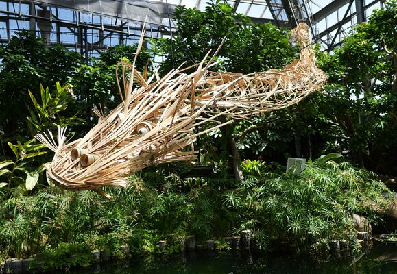 鑑賞大温室に展示されている竹の竜