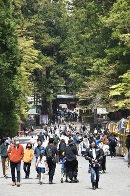 多くの観光客が行き交う世界遺産「日光の社寺」の表参道＝２９日午前１１時１５分、日光市山内