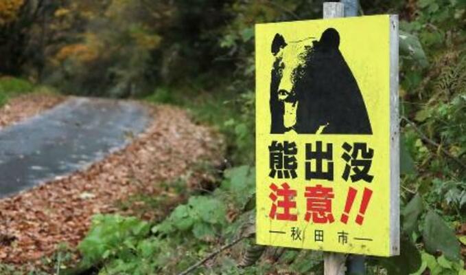 　秋田市の林道でクマへの注意を呼びかける看板＝１１月