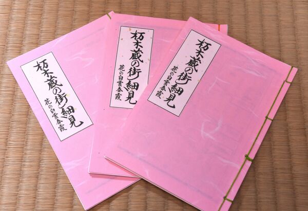 完成した栃木蔵の街細見