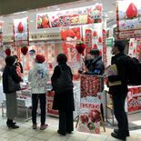 栃木のイチゴ 関西でＰＲ　新品種「とちあいか」など販売　県大阪センター