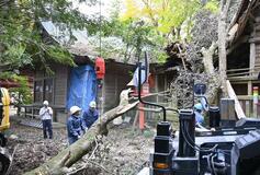 高椅神社の倒木 撤去作業始まる