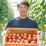 ＜236＞品質を支える温度・湿度管理　JAしもつけの「トマト」