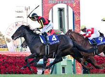 ミュージアムマイルが優勝