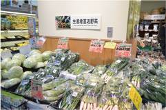 濃厚な味わいの春トマトプレミアム７とちぎ農産物直売所 えきの市場　JAうつのみや