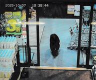 人くらす地域にあらわれ