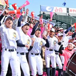 佐野日大にセンバツ応援団優秀賞 ピンク色のスタンド、大ボリュームの声援評価
