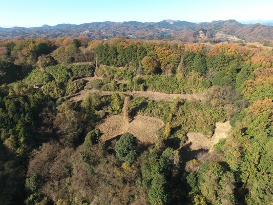 上空から見た西方城跡山頂部＝白鳥昇一氏撮影（栃木市提供）
