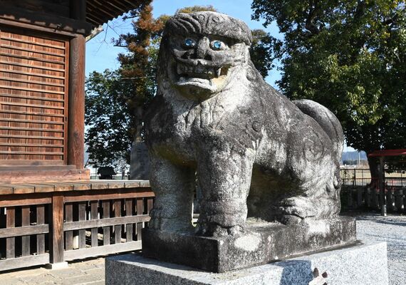 人丸神社の拝殿前で青い瞳を光らせる狛犬の阿形