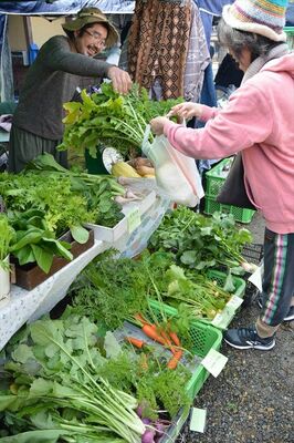 30種ほどの有機野菜が並んだ売り場