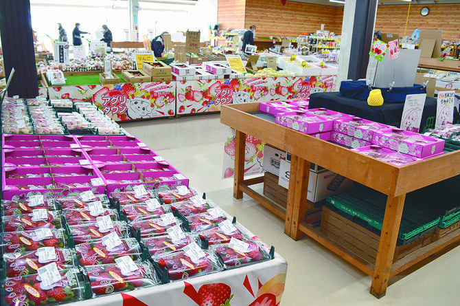 旬のイチゴが豊富に並ぶアグリタウンの農産物直売所