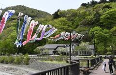 那珂川の川面に こいのぼり５１匹　