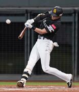 日７―１１ソ（１２日）