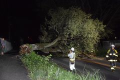 台風21号　栃木県内でも強風