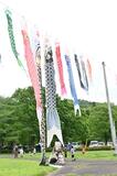 こいのぼり３３０匹優雅に