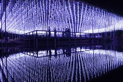 あしかがフラワーパークでイルミネーション