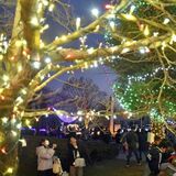 「芳賀地区最大級」見渡せば夢うつつ 町役場でフェス イルミネーションは25日まで