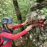 宇都宮の古賀志山　木や岩に無断マーキング　遭難誘発懸念、対応検討へ