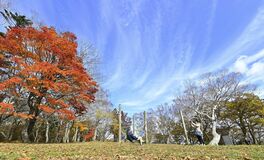 マウントジーンズの紅葉