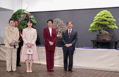 天皇ご一家 盆栽展鑑賞