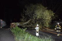台風21号　栃木県内でも強風