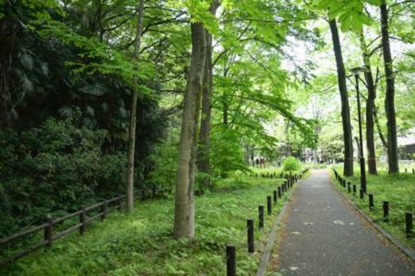 　赤塚公園の遊歩道＝東京都板橋区