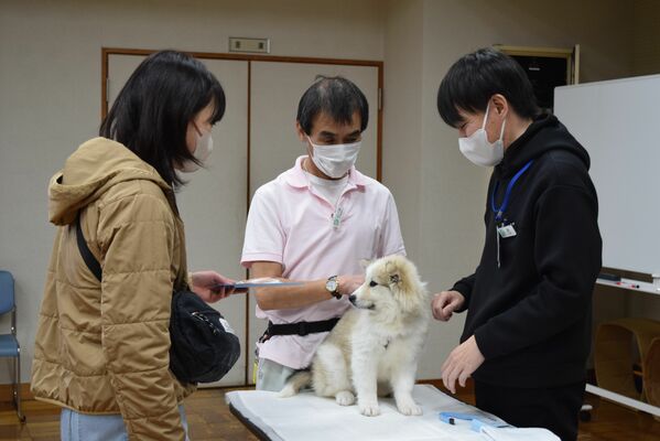 毎月行われている子犬の譲渡会＝宇都宮市今宮４丁目