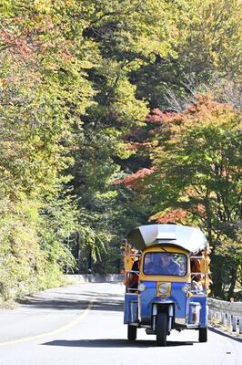 「大正浪漫渓谷の道」を走るトゥクトゥク