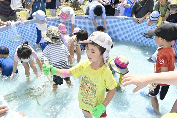 アユをつかみ取る子どもたち