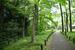 　赤塚公園の遊歩道＝東京都板橋区