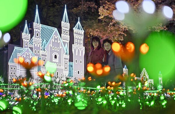 グリムの森を華やかに彩るイルミネーション