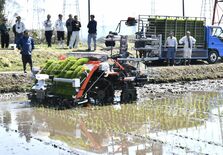 春の陽気、大田原で一足早い田植え　「とちぎの星」など40ヘクタール、自…