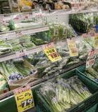 家計負担増 避けられず