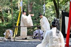 ３３年の式年遷宮へ木材伐採