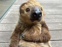 指で種類を見分けよう