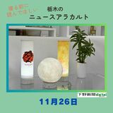11月26日の栃木県内ニュース　「ロスを照らす“メイドイン栃木”」など3本をお届けします