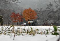 奥日光、今季初の雪景色　日光