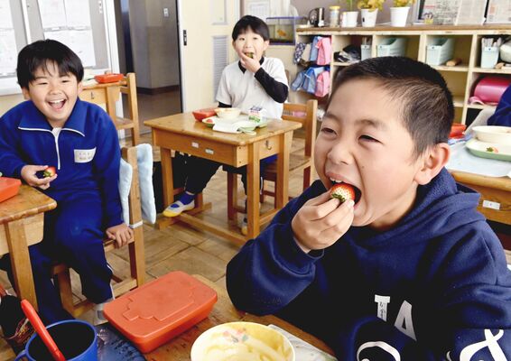 イチゴを堪能する児童たち