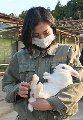 飼育員の篠崎さんに抱っこされるウサギ。前足と比べて後ろ足が発達している＝12月26日、宇都宮市上金井町