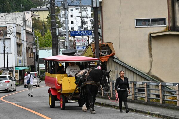 塩原温泉街を運行するトテ馬車