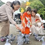 健やかに成長してね　七五三で宇都宮二荒山神社にぎわう　「みんなとお参り…