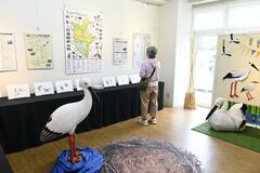 コウノトリ／遊水地 魅力を紹介