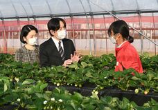 秋篠宮ご夫妻、栃木県を訪問　特別支援学校やイチゴ栽培視察