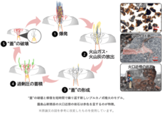 噴火の爆発力を蓄積する硬い“蓋”がなぜ短期間に修復されるのか？