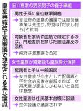 典範改正案 批判やまず