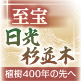 至宝　日光杉並木