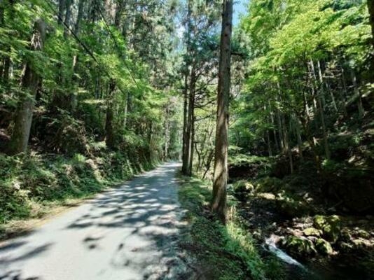 　大岳鍾乳洞につながる林道＝東京都あきる野市