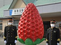 巨大イチゴのモニュメント、東武新鹿沼駅前に移設　とちぎ国体で使用