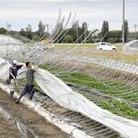３日の突風、大雨　栃木県、小山など３市に特別措置条例を適用　住家被害は…