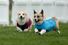 目指せナンバーワン